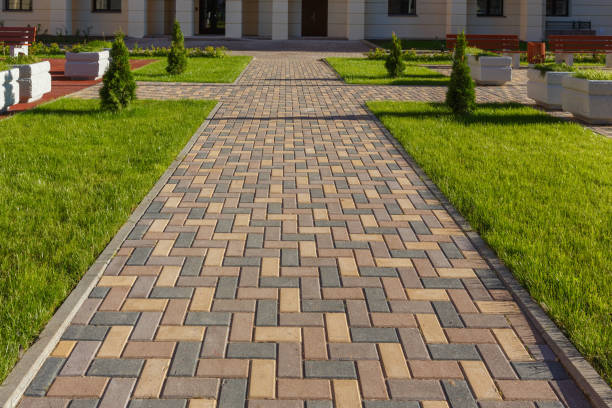 Best Driveway Paving Near Me  in Jerseyvle, IL
